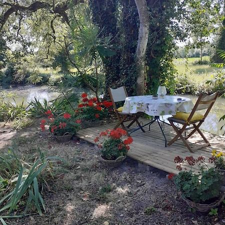 Gite " Jardin Peyrona" Visite Zoo Beauval Et Chateaux De Loire Beaulieu-les-Loches Exterior photo